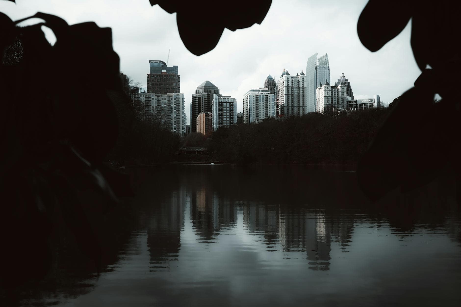 Piedmont Park in Atlanta
