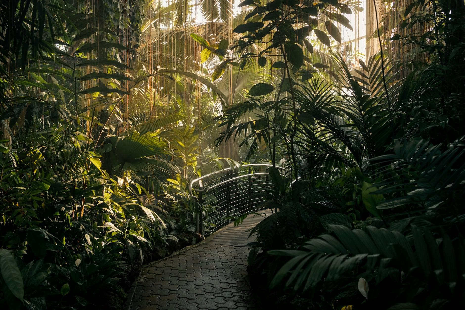 Atlanta Botanical Garden in Atlanta